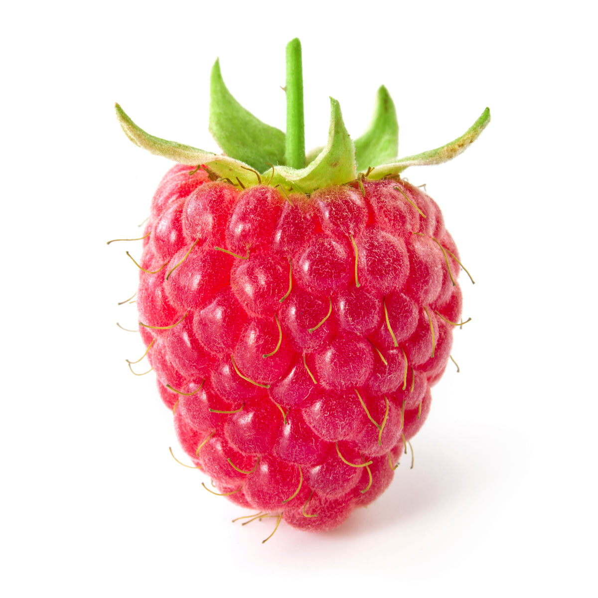 Raspberry Natural – Flavors Gourmet