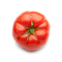 Tomato Red Color