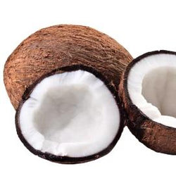 Toasted Coconut - Sugar Free (gallon)