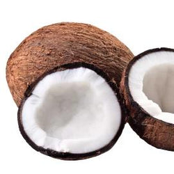 Toasted Coconut - Sugar Free (32 oz)