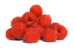 Raspberry - Sugar Free (gallon)
