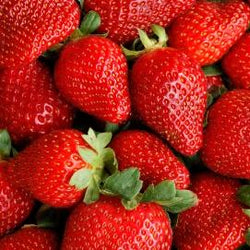 Strawberry - Sugar Free (32 oz)