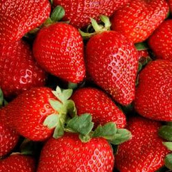 Strawberry - Sugar Free (Gallon)